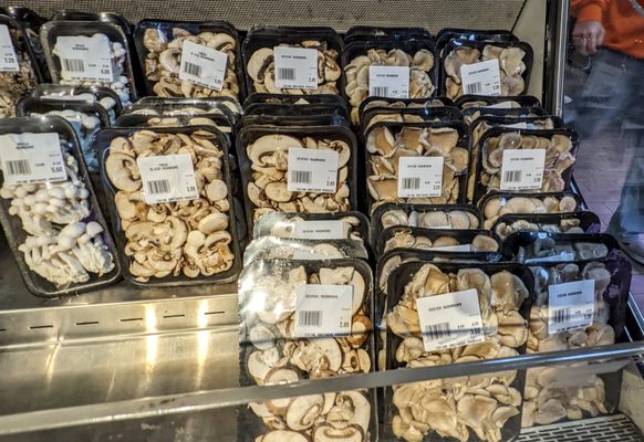 Iovine Brothers Produce by null