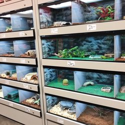 We Lov Pets - Reptile department