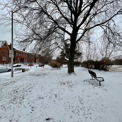Aboussie Park