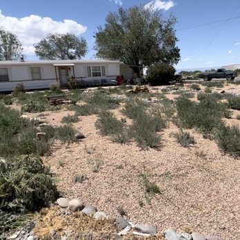 Outdoor Improvements - Before cleanup - Landscaping Near Me
