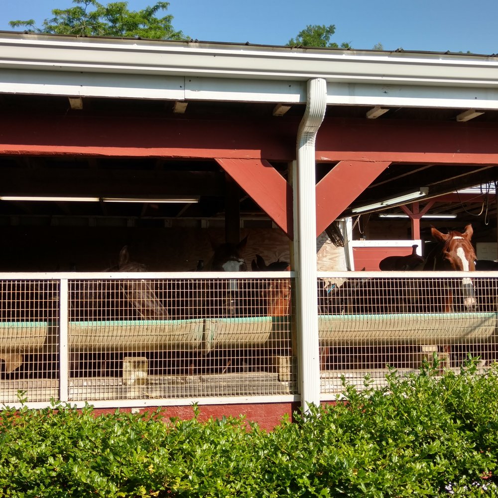 Five Oaks Riding Stables - Horseback Riding Near Me - Sevierville, Tennessee Five Oaks Riding Stables - Horseback Riding Near Me - Sevierville, Tennessee