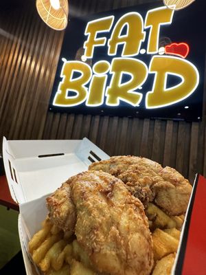 Fat Bird by null