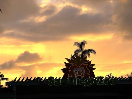 San Diego Zoo by null