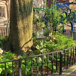 Minetta Playground