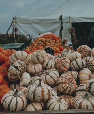 Siegel's Cottonwood Farm by null