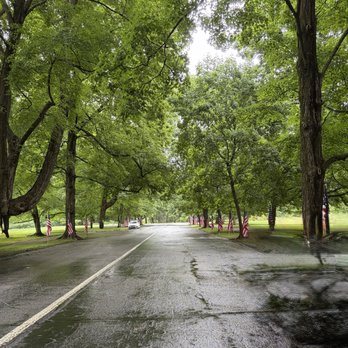 Cave Hill Cemetery - Memorial Day weekend and Cherokee Rd entrance lined with flags. - Funeral Services & Cemeteries Near Me - Louisville, Kentucky