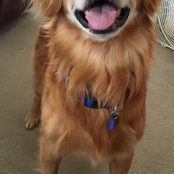 Cascade Heights Veterinary Center - Veterinarians Near Me - Seattle, Washington