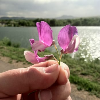 The Main Reservoir - Lakes Near Me - Lakewood, Colorado The Main Reservoir - Lakes Near Me - Lakewood, Colorado