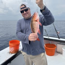 Mystic Rose Fishing Charters - Mutton Snapper