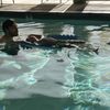 All Waves Aquatics gift card