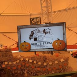 Burt's Farm - Inside the pumpkin