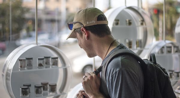 The Reef Cannabis Dispensary by null