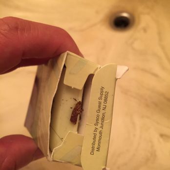 Big Bear Cool Cabins - First time opening soap bag. Looks like dead bug on it. - Property Management Near Me - Big Bear Lake, California