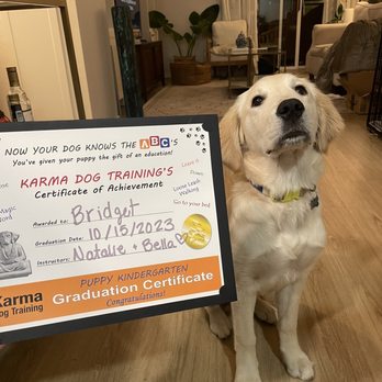 Karma Dog Training - Puppy - Pet Training Near Me - San Diego, California Karma Dog Training - Puppy - Pet Training Near Me - San Diego, California