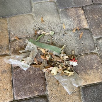 GEM Pressure Washing - Leaves and trash found behind outdoor games - Pressure Washers Near Me GEM Pressure Washing - Leaves and trash found behind outdoor games - Pressure Washers Near Me