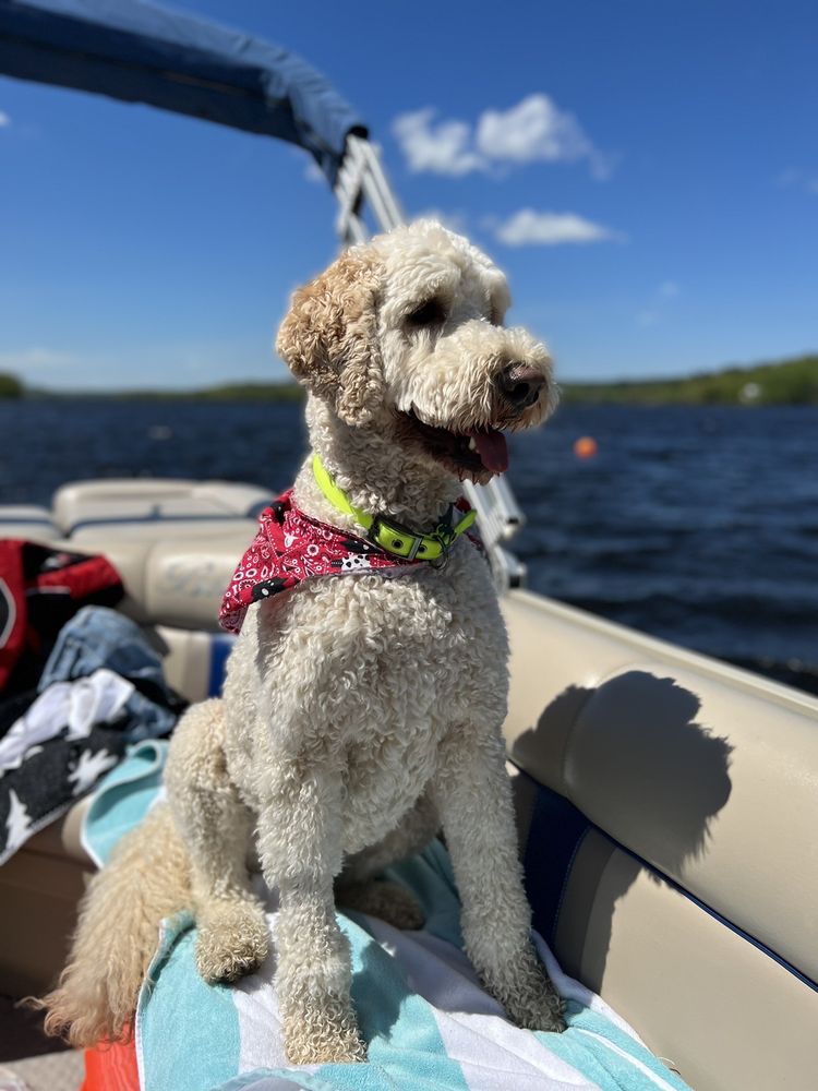 AHEAD OF THE PACK Updated May 2024 28 Photos & 23 Reviews 340