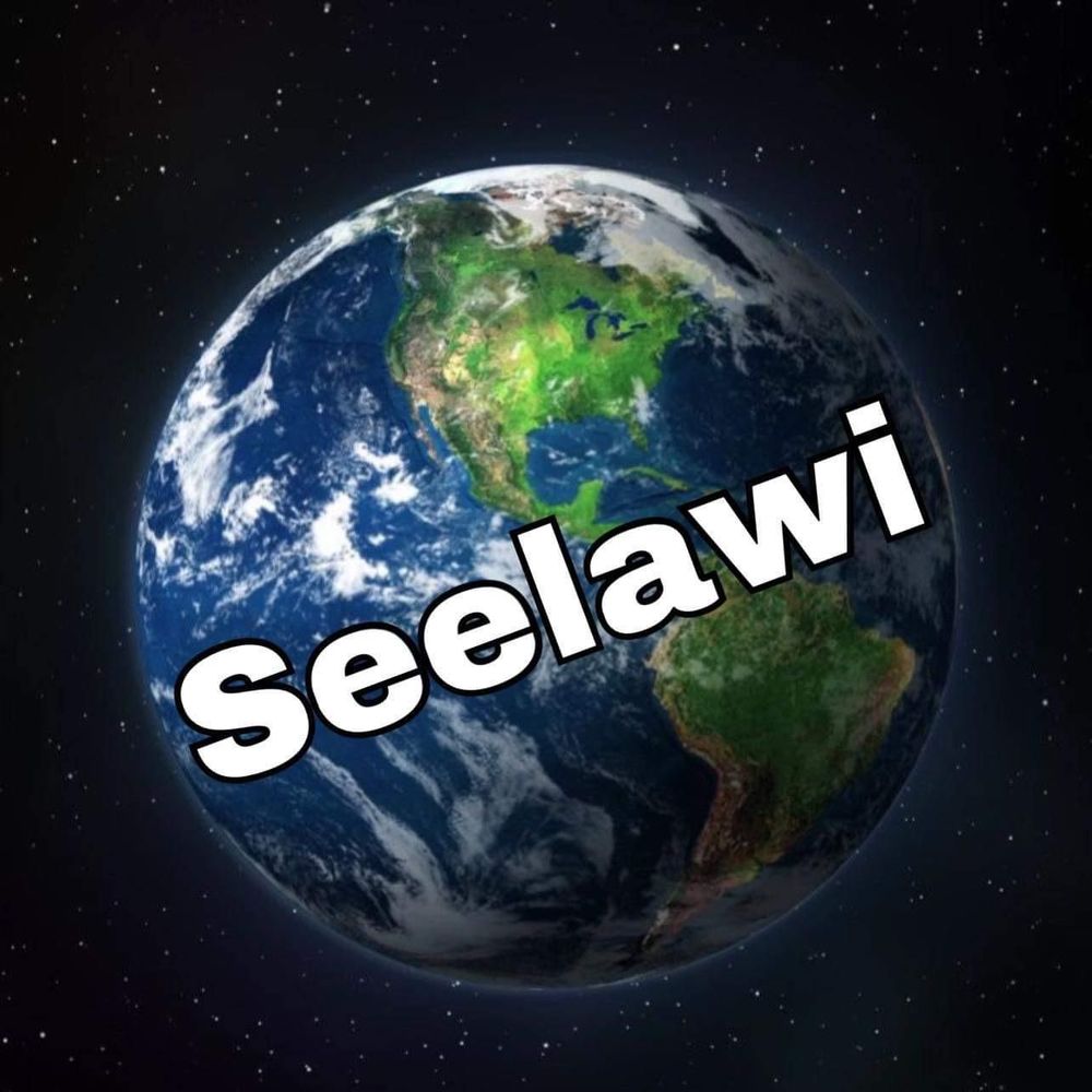 Seelawi - septic in Hickory Hills, IL