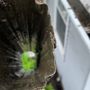 Photo of Levi Gutter Solution