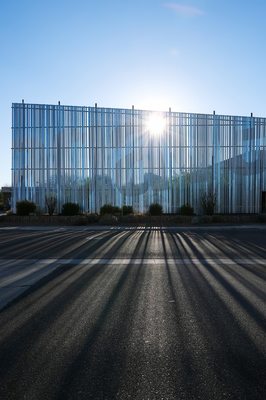 Agave Library by null