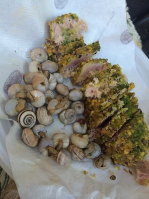 La Folperia ️ by null