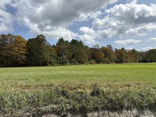 Sugarbush Farm by null