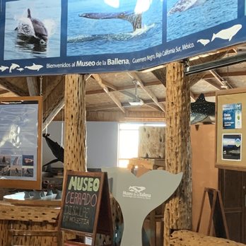 Restaurant Mario´s - Museum - Seafood Near Me - Guerrero Negro, BCS Restaurant Mario´s - Museum - Seafood Near Me - Guerrero Negro, BCS