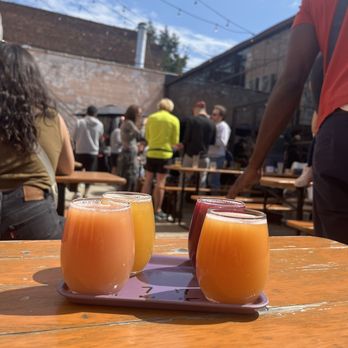 Evil Twin Brewing - Beer flight - Breweries Near Me - Ridgewood, New York