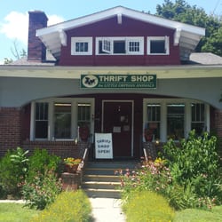 Thrift Shop For Little Orphan Animals