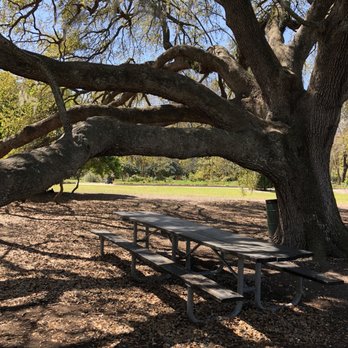 Hampton Park - Picnic tables in the shade - Parks Near Me - Charleston, South Carolina