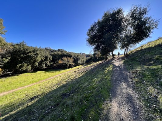 Hans Christian Andersen Park by null