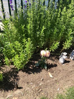 Garden, IN, US - MapQuest