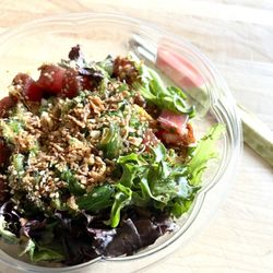 Pokemoto - White Plains - Dig In: (The 'Hawaiian': Tweaked W/ My Specifications)