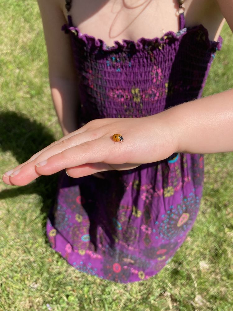 Linkoln Learning Center - childcare center in Knoxville, TN