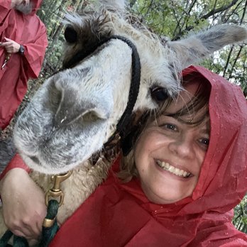 Smoky Mountain Llama Treks - With Oscar on the trail - Hiking Near Me - Cosby, Tennessee