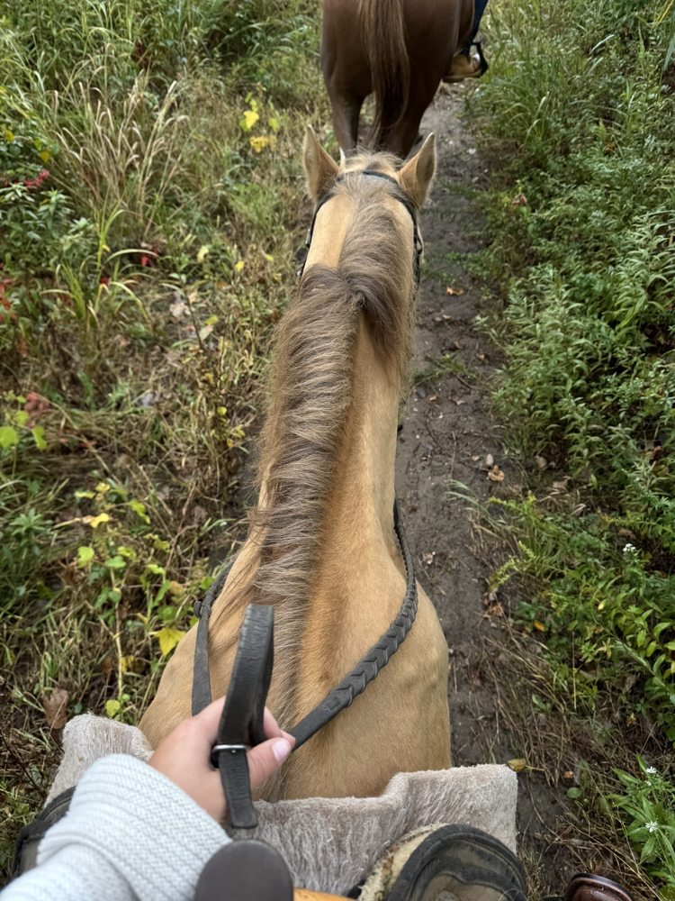 Jamaica Bay Riding Academy - equestrian in Brooklyn, NY