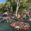 Tricks And Treats Event At California’s Great America gift card