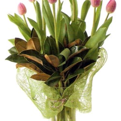 Rose Bay Florist & Nursery