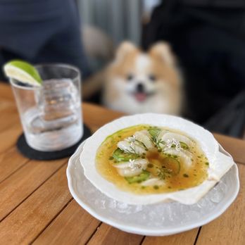 Angler - Scallop Crudo ($21) & Casa Noble Blanco, on the rock ($16) - Seafood Near Me - San Francisco, California