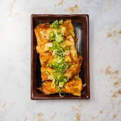 Homemade Gyoza