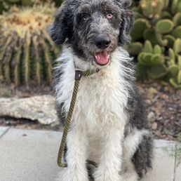Our girl, Frida! Our girl, Frida!
