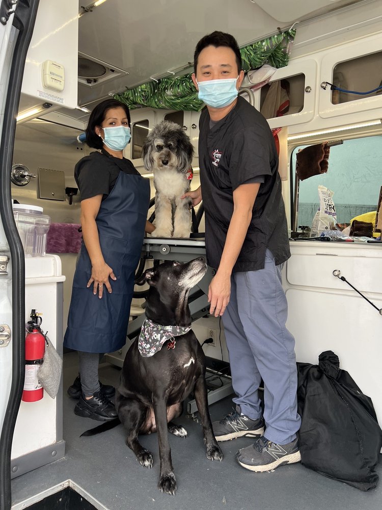 PUPPY LOVE MOBILE GROOMING Updated August 2024 38 Photos & 32