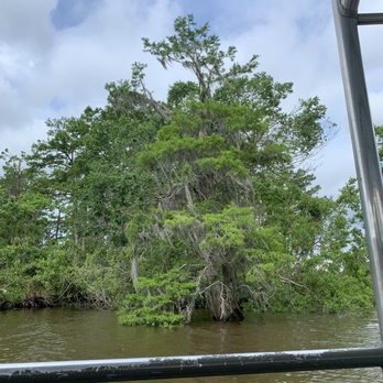Ultimate Swamp Adventures - Tours Near Me - Westwego, Louisiana