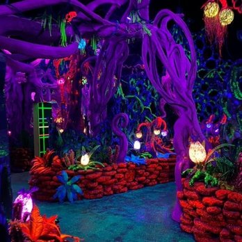 Seismique - Arts & Entertainment Near Me - Houston, Texas