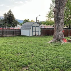 The Sustainable Lawn - After