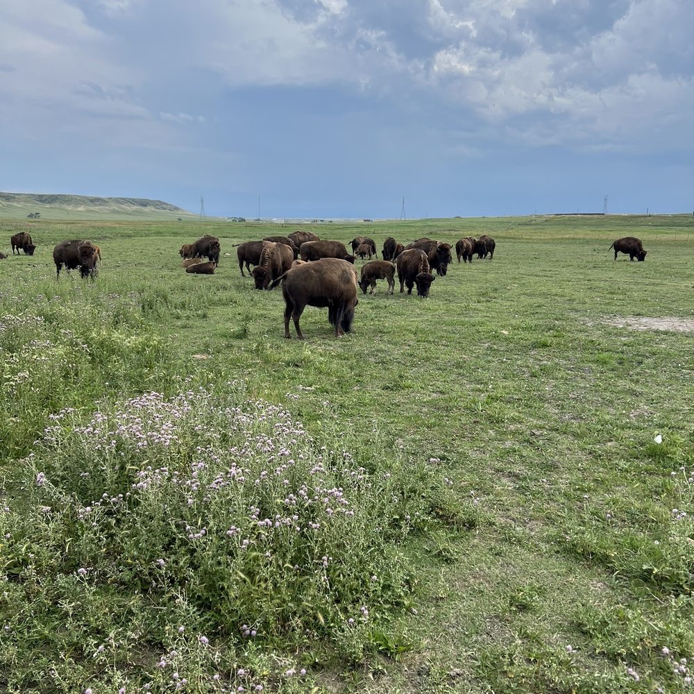 Terry Bison Ranch Resort - Venues & Event Spaces Near Me - Cheyenne, Wyoming