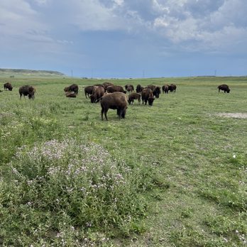 Terry Bison Ranch Resort - Venues & Event Spaces Near Me - Cheyenne, Wyoming Terry Bison Ranch Resort - Venues & Event Spaces Near Me - Cheyenne, Wyoming