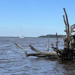 Cumberland Island National Seashore