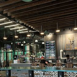 Urban Animal Beer - Inside