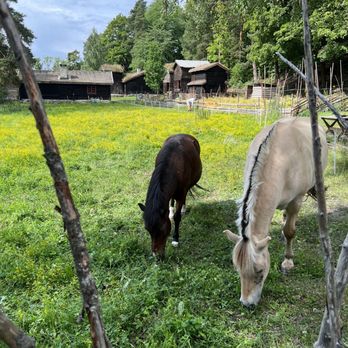 Norsk folkemuseum - Horses - Museums Near Me - Oslo, 03