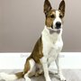 Photo of Smiley Harvey Dog Spa